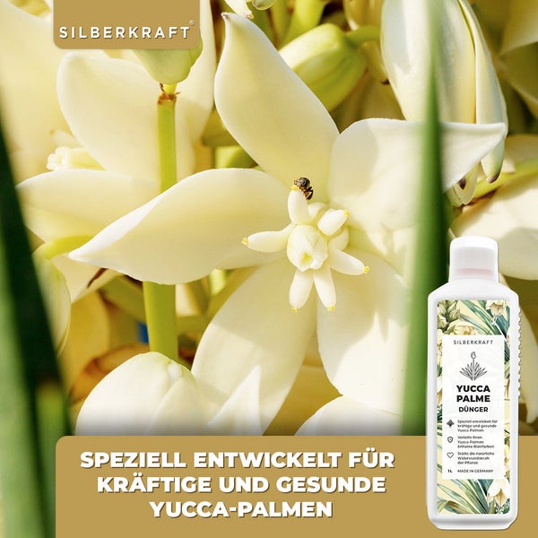 SILBERKRAFT Yucca Dünger – Für Yucca & Palmlilien – NPK Flüssigdünger – 1 Liter