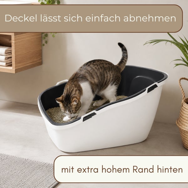 Katzentoilette mit hohem Rand hinten und abnehmbarem Deckel, abgebildet mit einer Katze in einem hellen Raum.