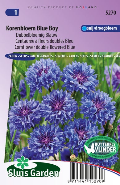 Kornblumen Blue Boy Samenpackung