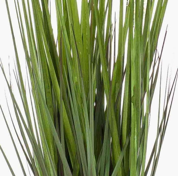 Künstliches Ziergras in einem schwarzen Kunststofftopf, Detailansicht.