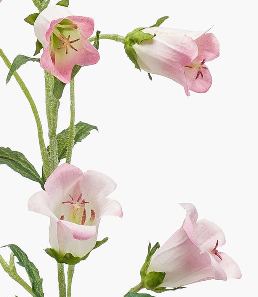 Künstliche Glockenblume in Hellrosa mit behaartem grünem Stiel und grünen Blättern.