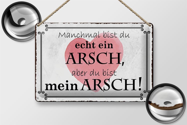 Blechschild Spruch 30x20cm manchmal bist du ein ARSCH aber