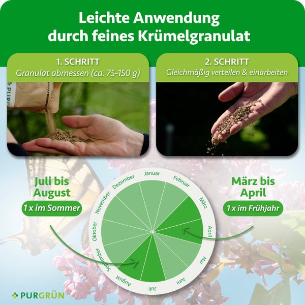 Anwendungshinweise und Ausbringungszeitraum für Purgrün Düngergranulat in zwei Schritten mit Jahreskalender zur Gartenpflege.