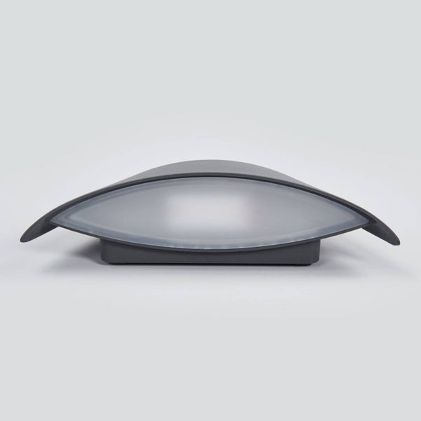 Moderne Außenwandleuchte LED mit anthrazitfarbenem Gehäuse und elliptischer Kunststoffabdeckung in Frostoptik.