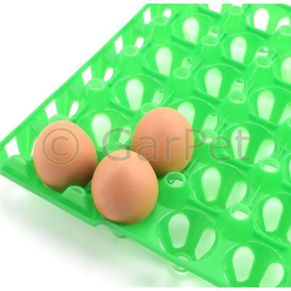 10 Kunststoff Eierlagen Mehrweg Eierverpackung Eierhorden Eierkartons Eierpappen