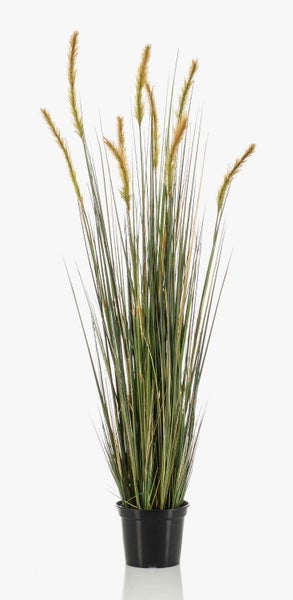 Künstliches Ziergras mit grünen Halmen und bräunlichen Blütenähren in einem schwarzen Kunststofftopf.