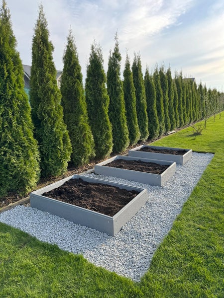 Hochbeete Growline Plast HxBxT 21x180x100 cm 1 Ebene Kunststoff Grau
