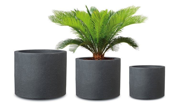 Drei runde Pflanzgefäße in verschiedenen Größen, eines davon bepflanzt mit einer Cycas Palme.