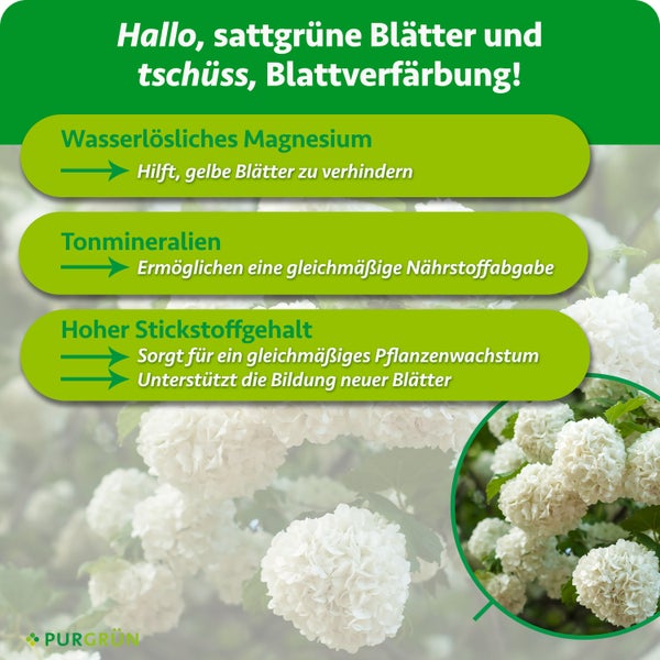 Produktinformation zu Purgrün Pflanzendünger mit Magnesium, Tonmineralien und Stickstoff für gesundes Blattwachstum und Blühkraft.