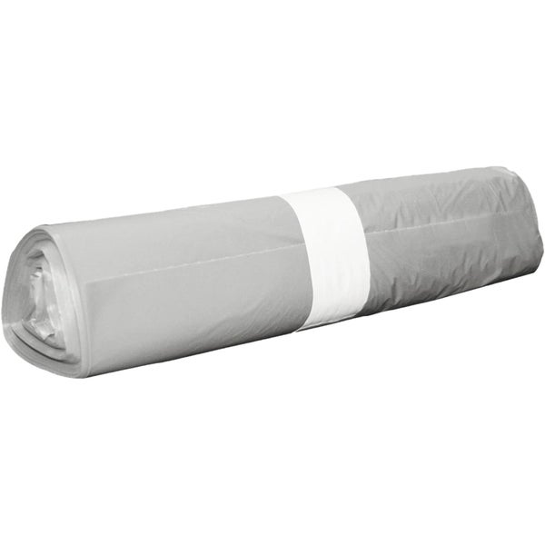 Sansevieria in einem Topf, Zimmerpflanze, circa 35 cm hoch