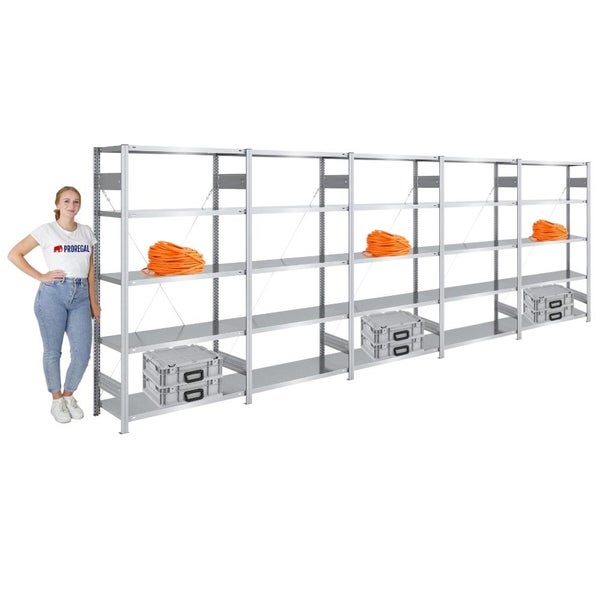 PROREGAL Schwerlastregal Silver Mamba Made In Germany  HxBxT 200 x 500 x 40 cm 5 Ebenen Je 150 kg Fachlast  Verzinkt
