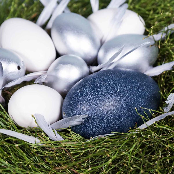 Dekorative Eier in Weiß, Silber und Blau in einem grünen Nest mit Federn.