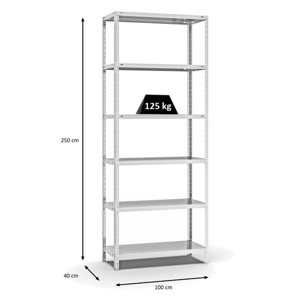 PROREGAL Fachbodenregal Schraubsystem Light-Duty Grundregal HxBxT 250 x 100 x 40 cm 6 Ebenen Fachlast 125 kg Beidseitig Nutzbar Lichtgrau
