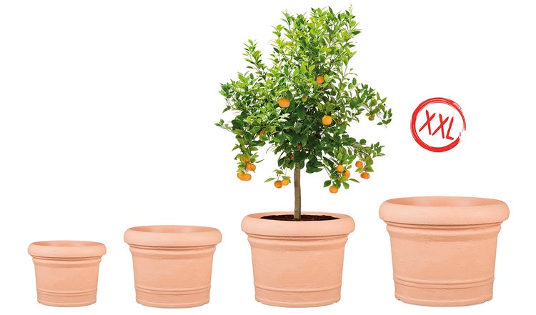 Scheurich Formia 80, Pflanzgefäß/Blumentopf/Pflanzkübel, rund,  aus Kunststoff Farbe: Terracotta, 80 cm Durchmesser, 59,2 cm hoch, 179 l Vol.