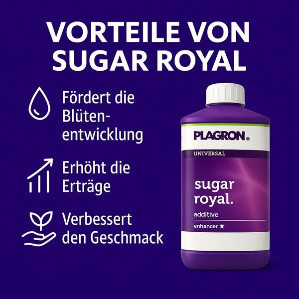 Plagron Sugar Royal Zusatzstoff zur Förderung der Blütenentwicklung, Erhöhung der Erträge und Verbesserung des Geschmacks.