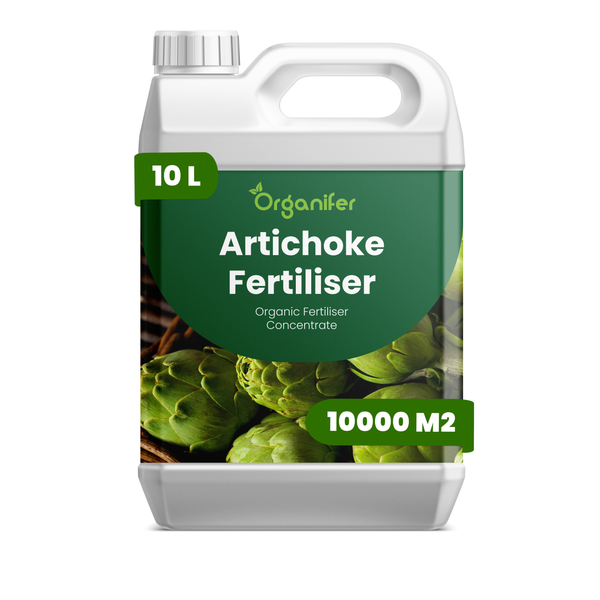 Organifer Artischockendünger, organisches Flüssigdünger Konzentrat, 10 Liter Kanister für 10000 Quadratmeter.