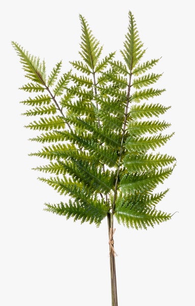 Künstlicher Farnzweig mit grünen Farnwedeln, gebündelt am Stiel.