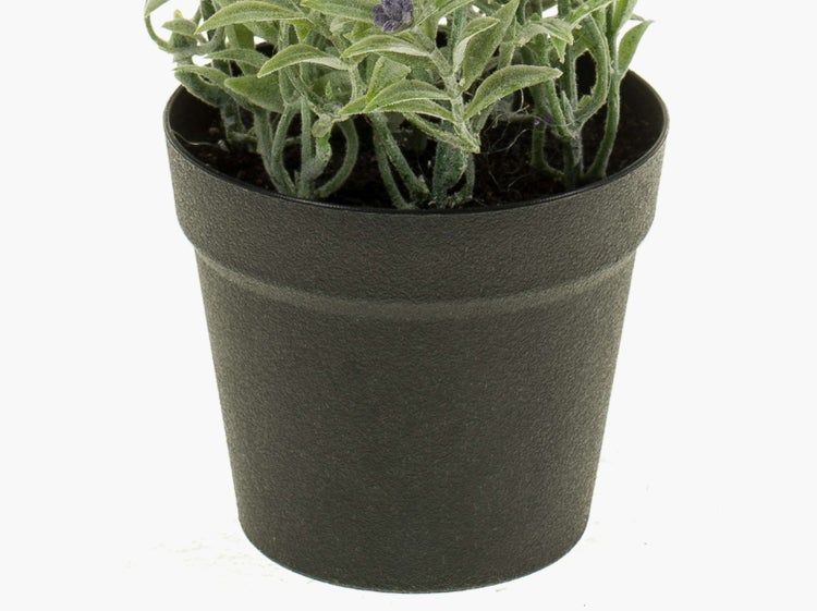 Kunststoff-Blumentopf mit strukturierter Oberfläche und einer Pflanze.