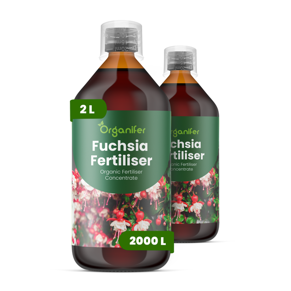 Organifer Coleus Dünger, organisches Düngerkonzentrat, Set aus vier Flaschen zu insgesamt 4 Liter, ausreichend für 4000 Liter.