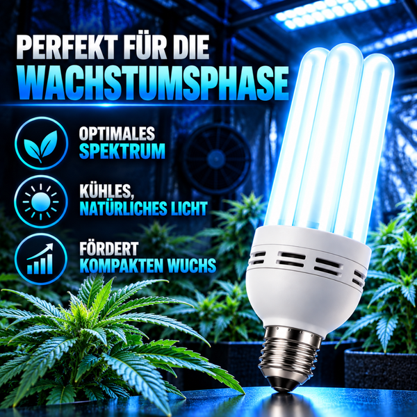 Pflanzenlampe mit kühlem Lichtspektrum für die Wachstumsphase in einer Pflanzumgebung.
