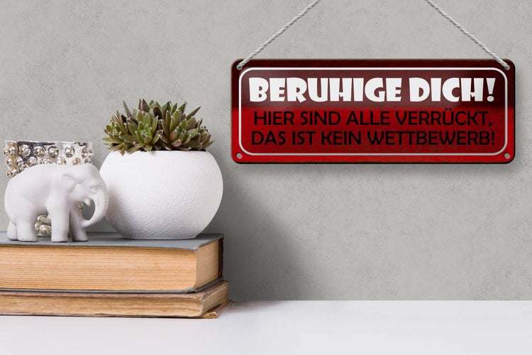 Blechschild Spruch 27x10cm beruhige dich hier sind alle verrückt