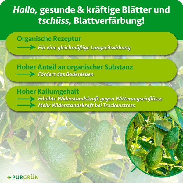 Produktinformationen zu Purgrün Avocado Dünger mit Angaben zu organischer Rezeptur, Bodenleben und Kaliumgehalt für gesunde Pflanzen.