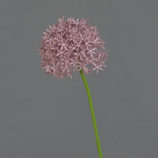 Künstliche Allium-Blume mit kugelförmigem Blütenkopf an einem grünen Stiel.