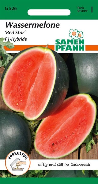 Samen Pfann Wassermelone Red Star F1-Hybride