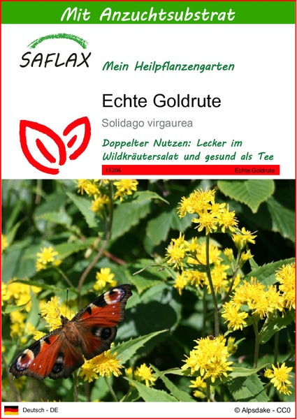 SAFLAX  - Echte Goldrute - Solidago virgaurea - 100 Samen - Mit keimfreiem Anzuchtsubstrat