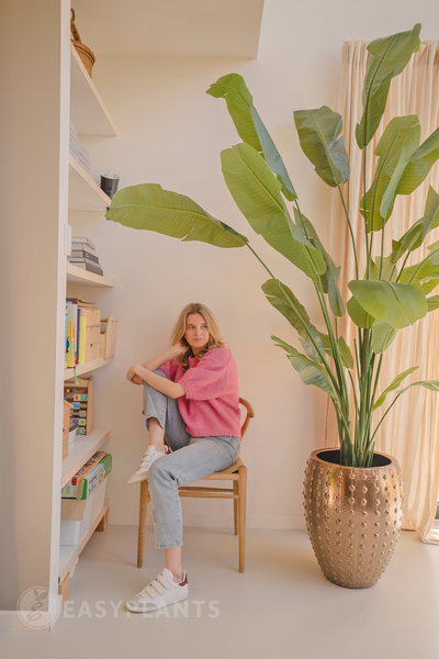 Kunstpflanze Strelitzia Nicolai Deluxe 240 cm real touch