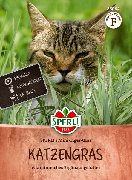 Sperli Mini Tiger Gras Katzengras Samen fuer vitaminreiches Ergaenzungsfutter in einjaehriger Qualitaet fuer Kuebel geeignet circa 10 Zentimeter