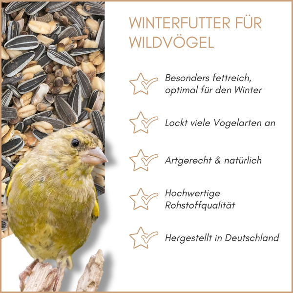 Winterfutter für Wildvögel mit Grünfink