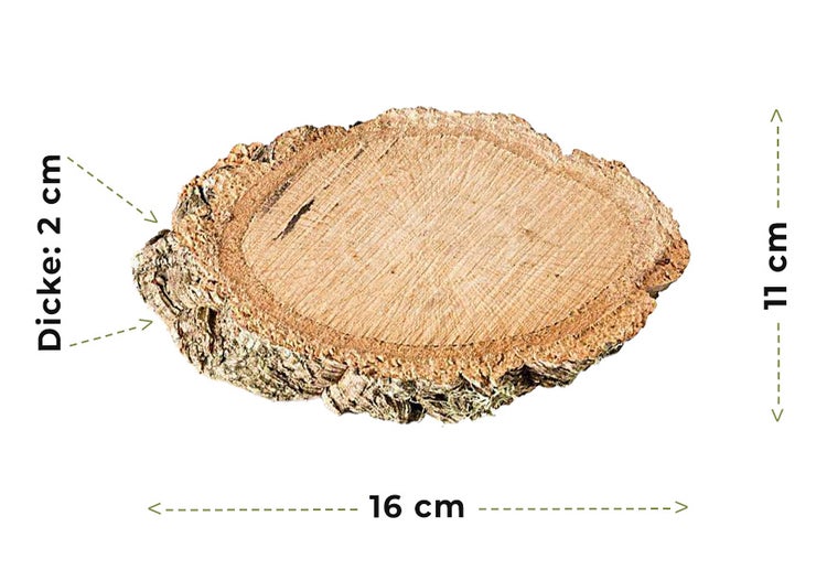 Ovalförmige Holzscheibe mit Rinde, Länge 16 Zentimeter, Breite 11 Zentimeter und Dicke 2 Zentimeter.