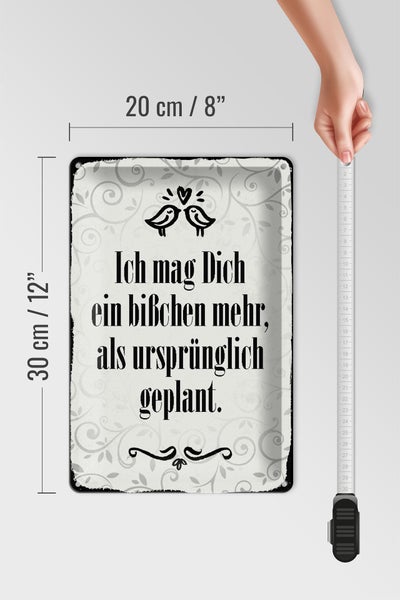Blechschild Spruch 20x30cm ich mag dich ein bißchen mehr