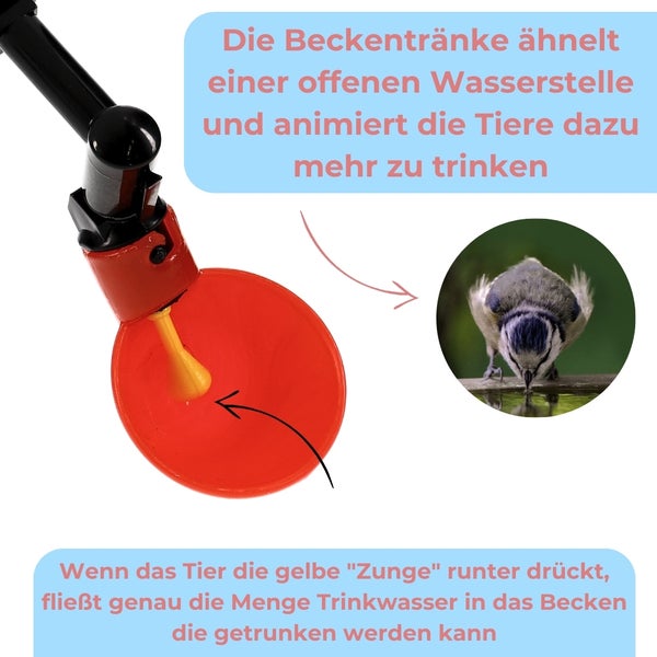 Tränke für Tiere mit Becken