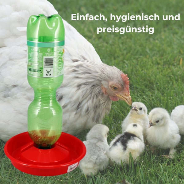 Nager Vogel Geflügel Hühner Küken Insekten Tränke Tränkeschale für PET Flasche