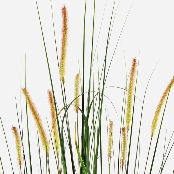 Vier künstliche Ziergräser in verschiedenen Höhen in schwarzen Kunststofftöpfen mit naturgetreuen Blütenständen.