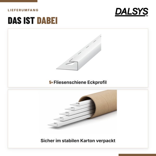 Dalsys Logo und Lieferumfang bestehend aus fünf Fliesenschienen Eckprofilen, sicher verpackt in einem stabilen Kartonrohr.
