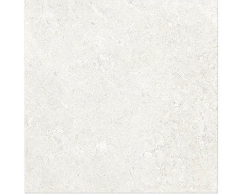 Wand- und Bodenfliese Jurassic avorio 60x60 cm
