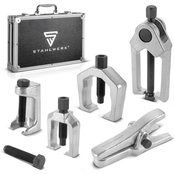 Blühender Flieder im Garten