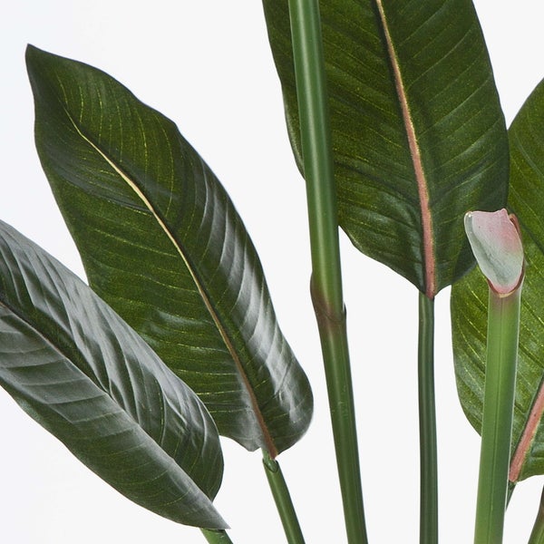 Nahaufnahme einer künstlichen Strelitzia mit großen Blättern und Stielen.