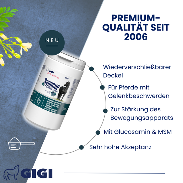 Dose Gigi Synocur für Pferde mit Gelenkproblemen