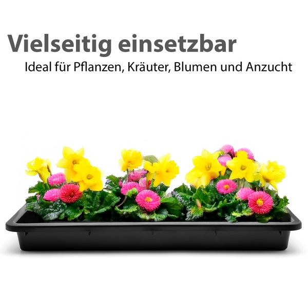 Schwarzer Pflanzkasten mit Narzissen und Gänseblümchen