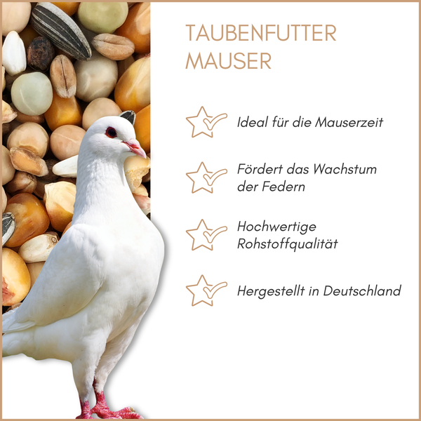 Taubenfutter für die Mauserzeit mit weißer Taube und Futtermischung