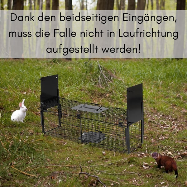 Drahtfalle mit zwei Eingängen für den Fang von Tieren im Freien, mit Kaninchen und Marder