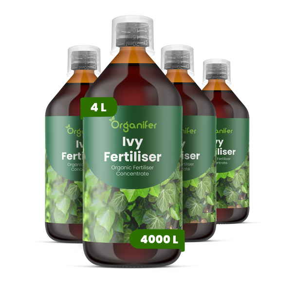 Organifer Balkonpflanzendünger, 10 Liter organisches Düngerkonzentrat für circa 10000 Quadratmeter.