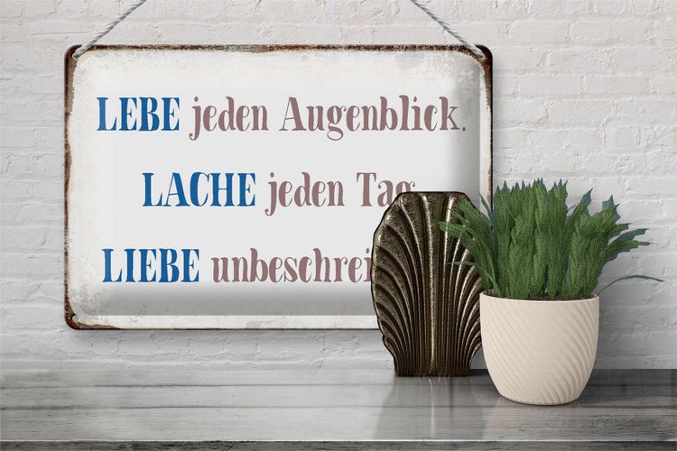 Blechschild Spruch 30x20cm liebe lache jeden Tag Schild