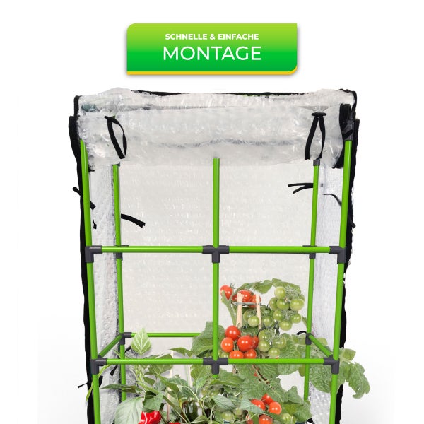 Kleingewächshaus mit grünem Metallrahmen, isolierender Luftpolsterfolie und Tomatenpflanzen, Hinweis auf schnelle und einfache Montage.