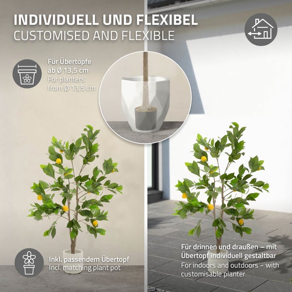 Dekorativer Zitronenbaum im passenden Übertopf für drinnen und draußen