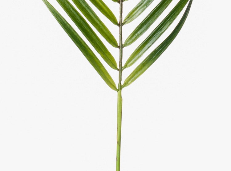 Künstlicher Palmwedel, grünes Blatt mit Stiel für Dekoration.